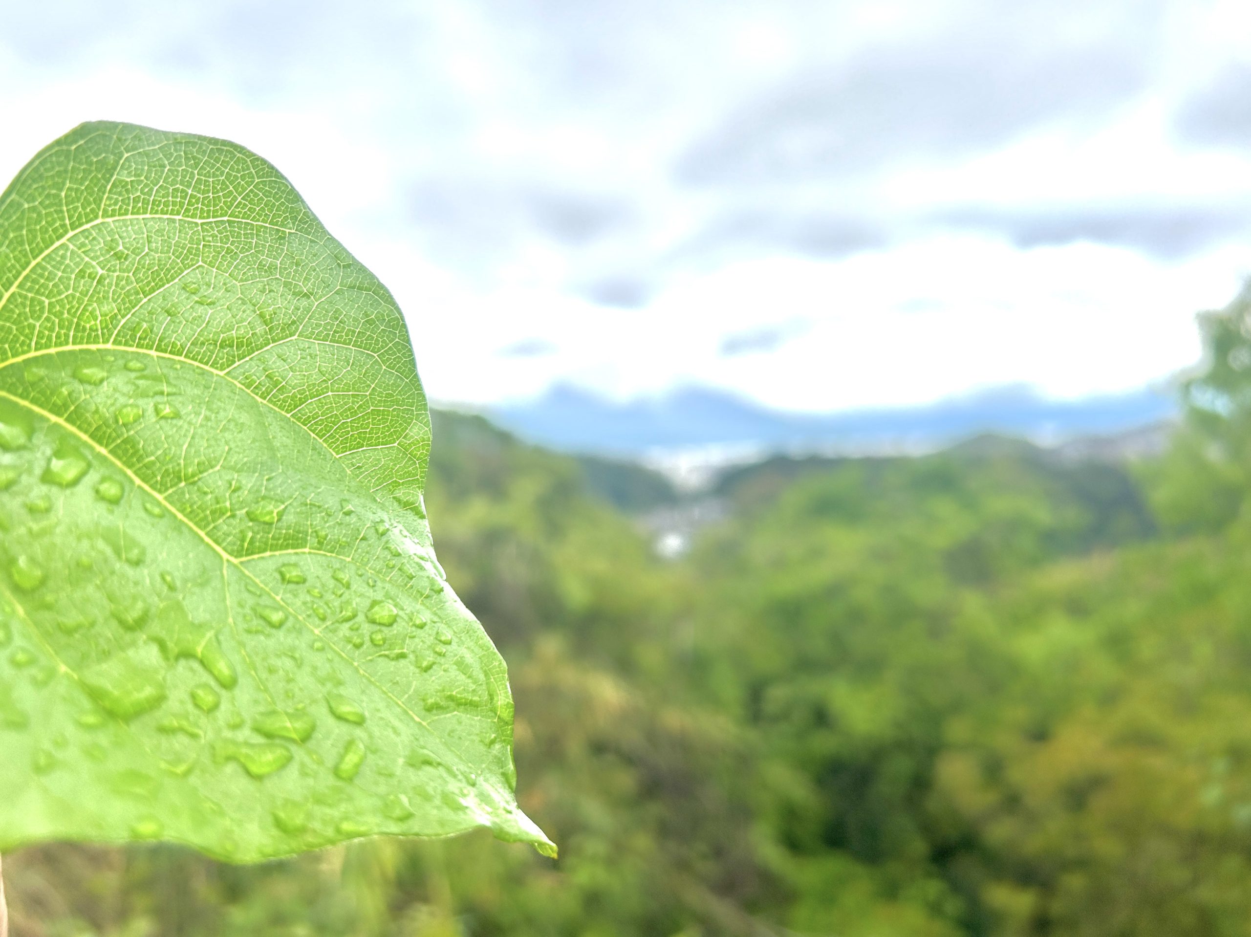 雨上がりのムズムズ！