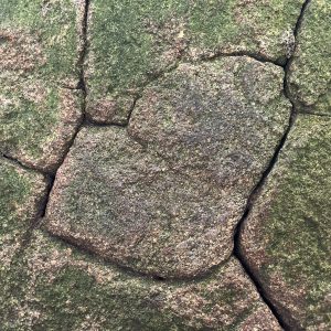 移動距離230km！