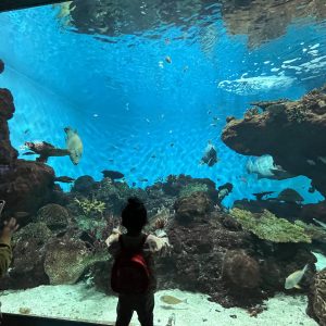 ムスメちゃん初めての魚釣り(練習編)