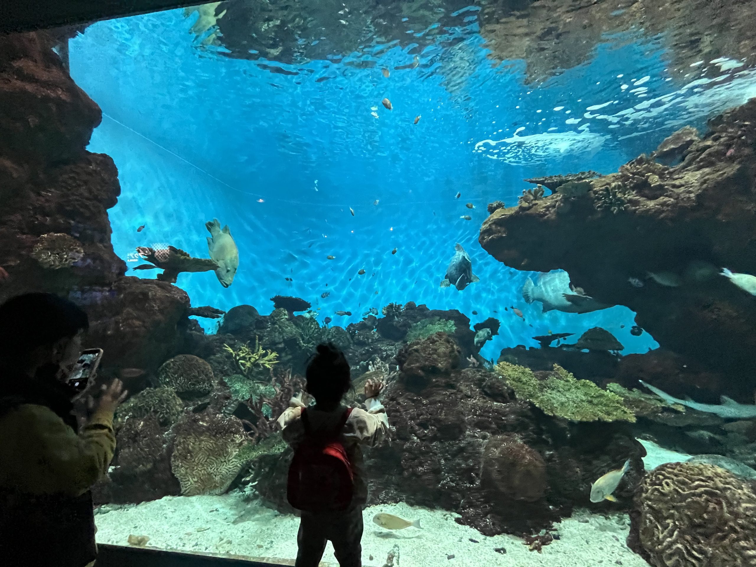 ムスメちゃん初めての魚釣り(練習編)