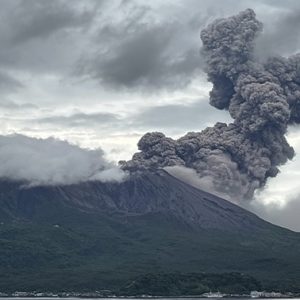 梅雨の晴れ間は蒸し暑い🥵