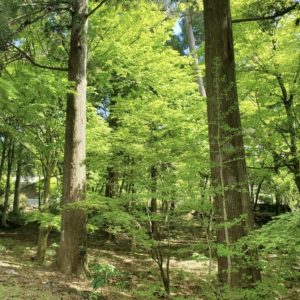 南九州最大のパワースポット