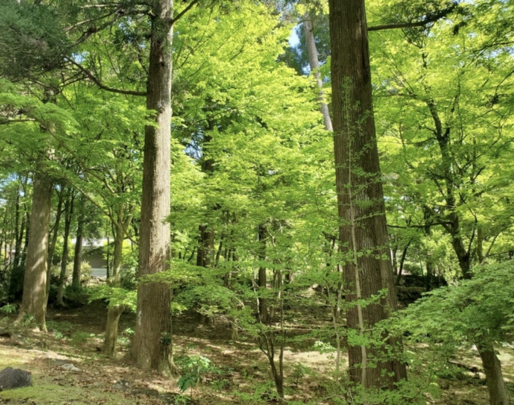 南九州最大のパワースポット