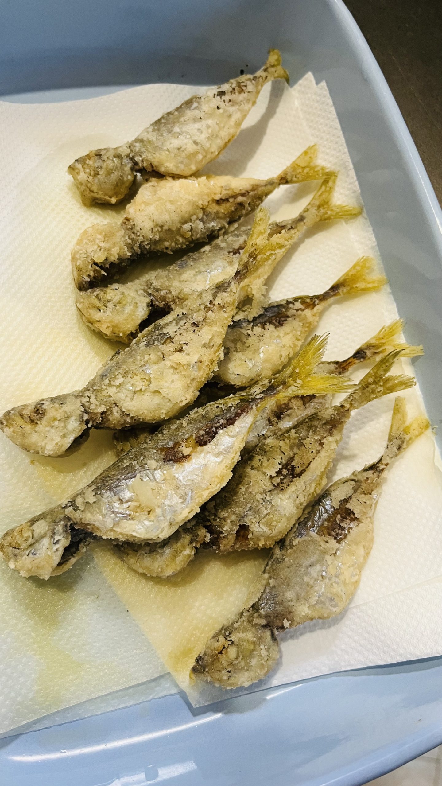 みんなで釣り行こうぜ！