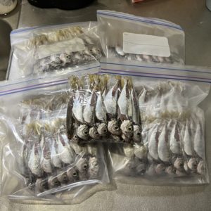 アジに恋する5秒前