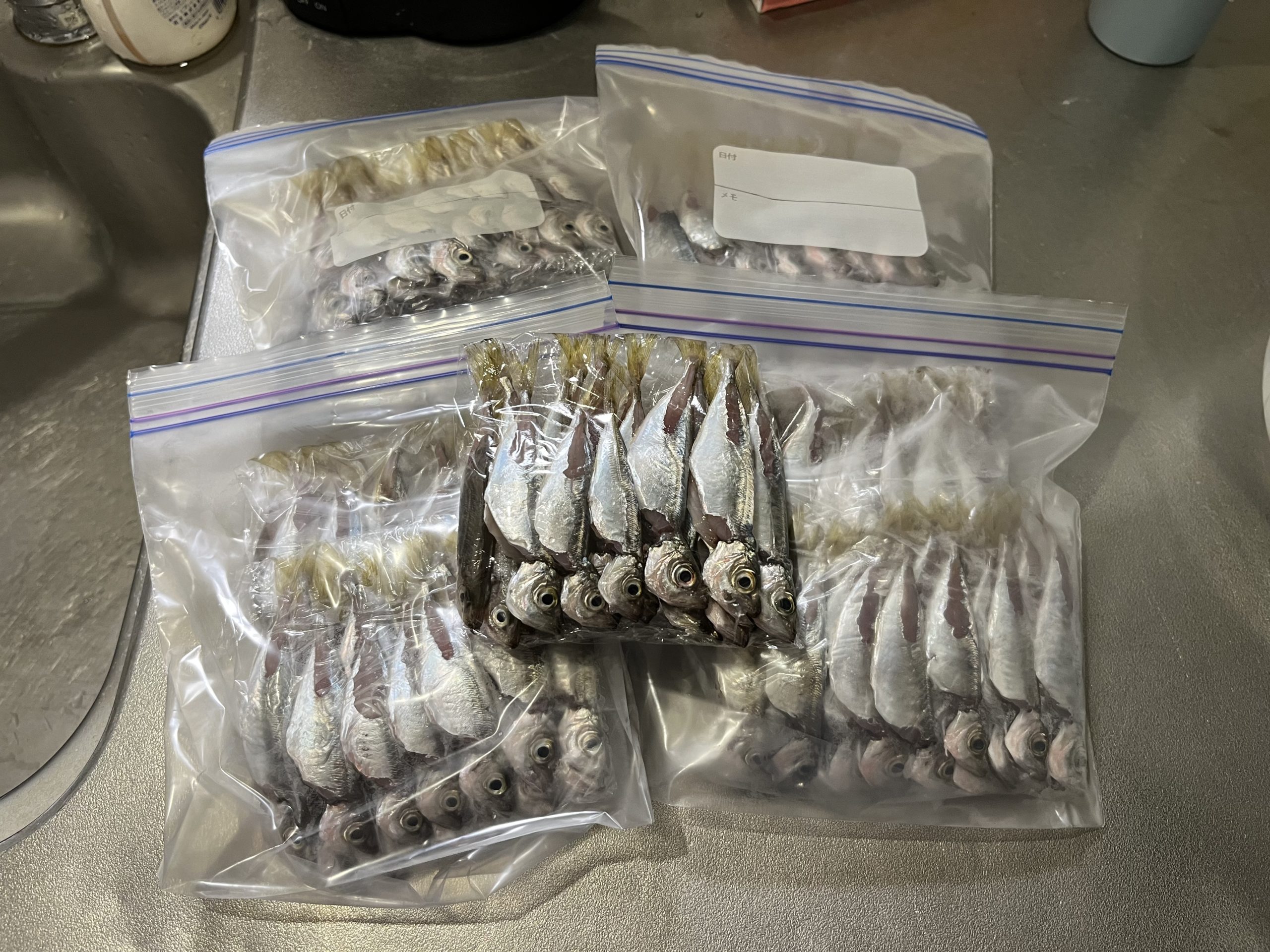 アジに恋する5秒前