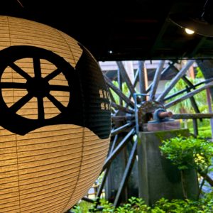 ちょっと待って、あなたは誰、、、、