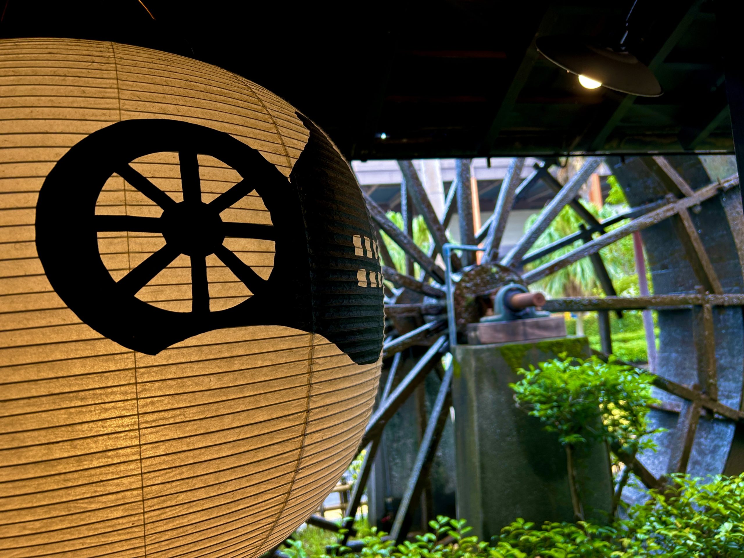 ちょっと待って、あなたは誰、、、、