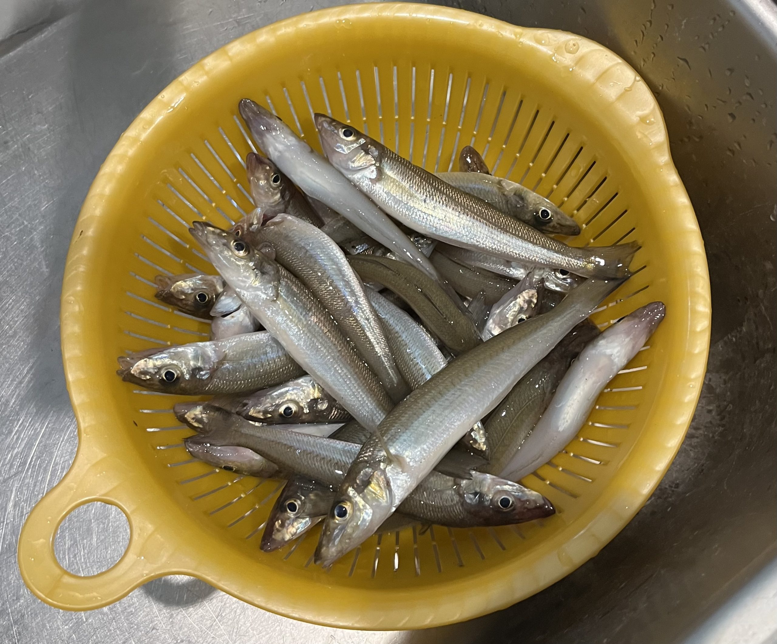 キスは天ぷらだけじゃなかったの巻