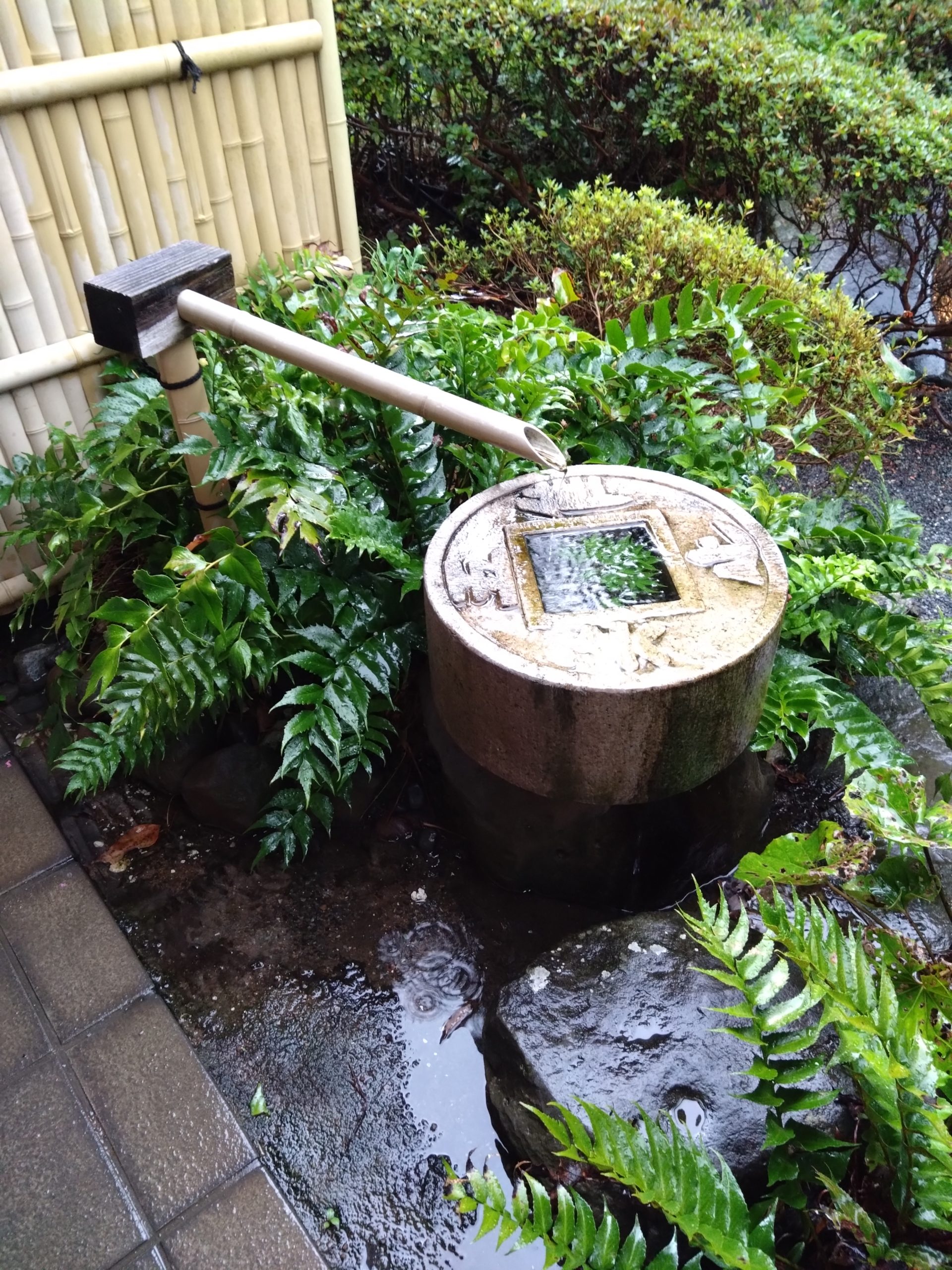 2泊3日熊本旅行♨️