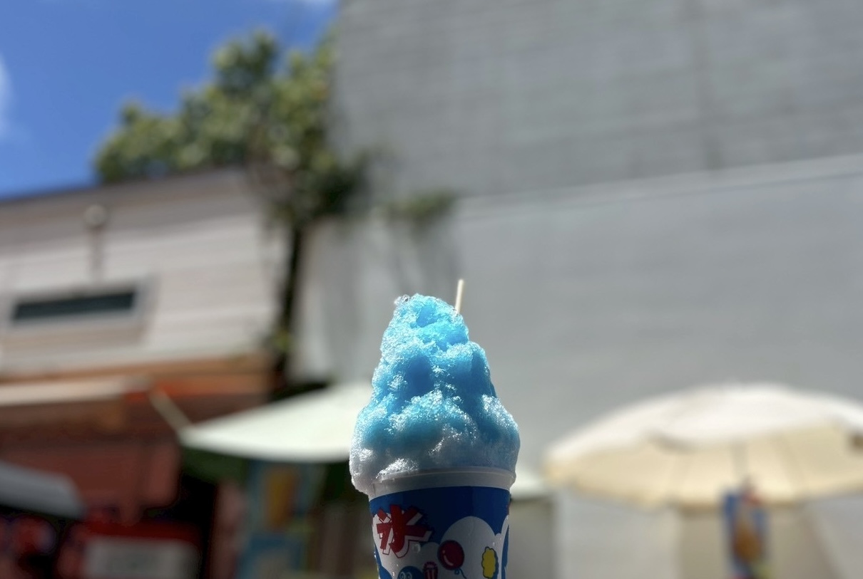 青島ーー！🚓💨　室井さん！レインボーブリッジ封鎖できま､､､