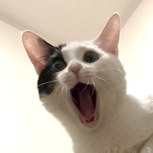 え？もう自分の順番？？