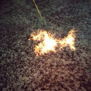 ひと夏の思い出 花火とマメアジ