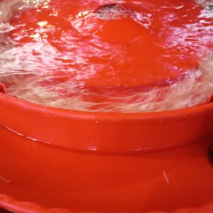 まだまだ暑いですね！