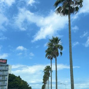 🍯🐝腹減ったら、レッツゴー！！🚗💨