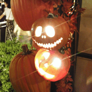 少しずつ秋へ🍂