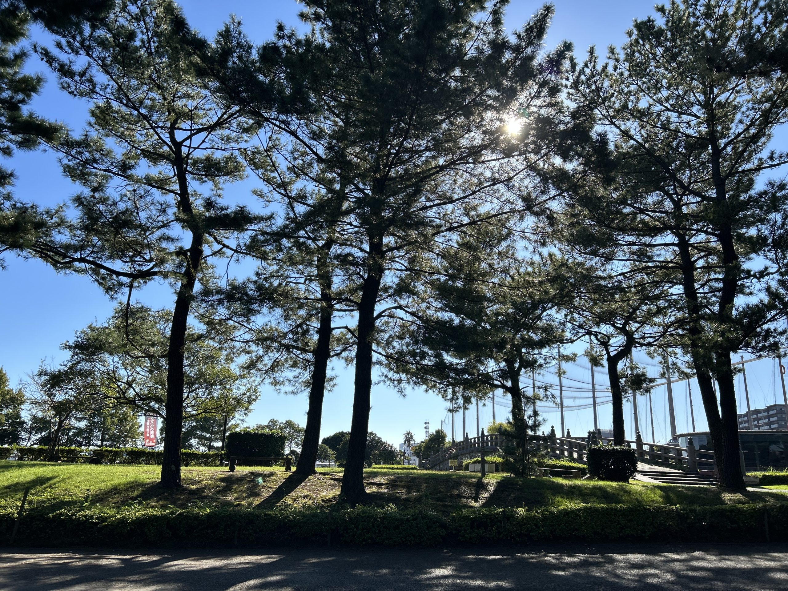 鹿児島のんびり石橋さんぽ。🚶.....