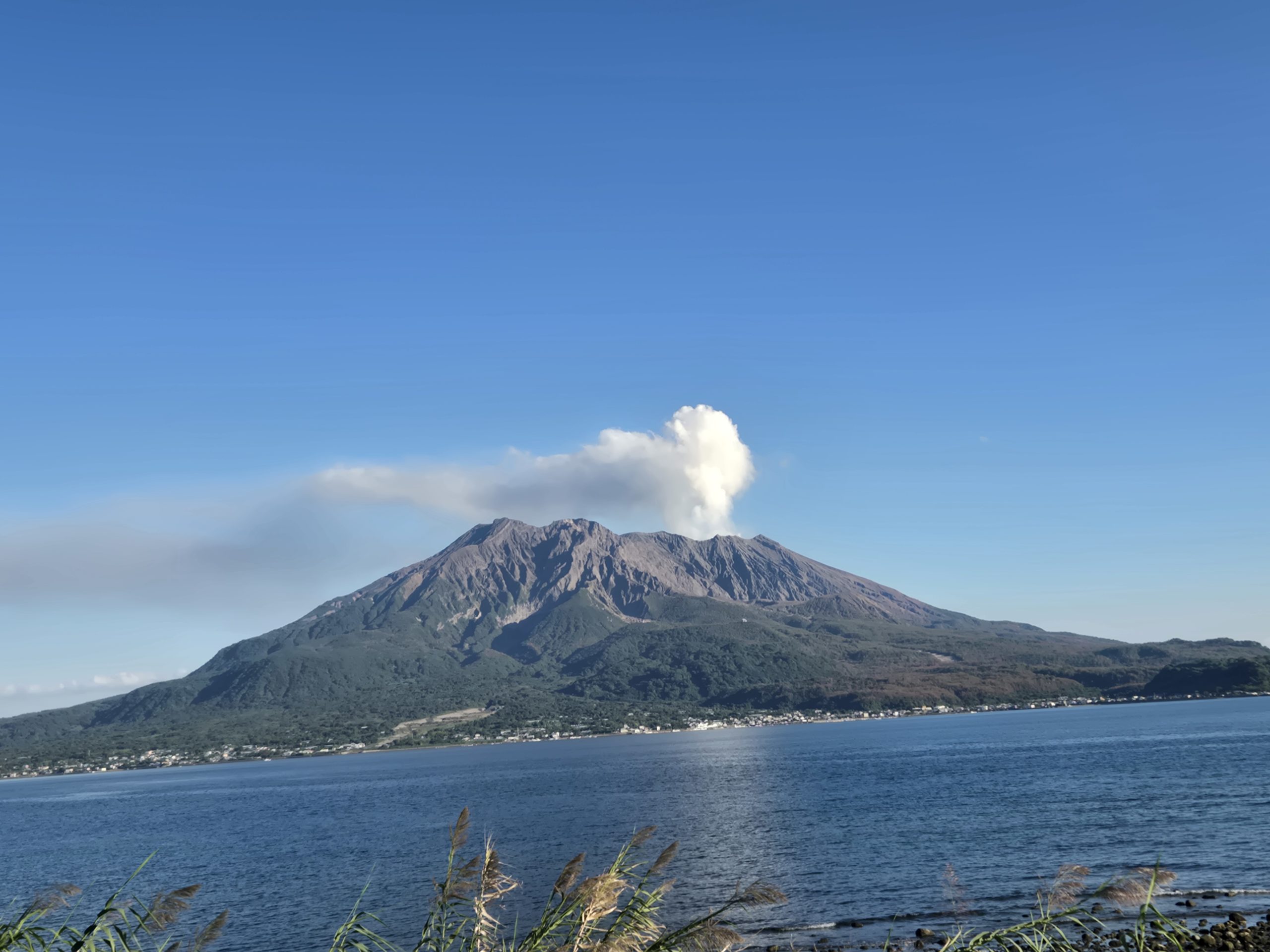 信じるものは救われる😁
