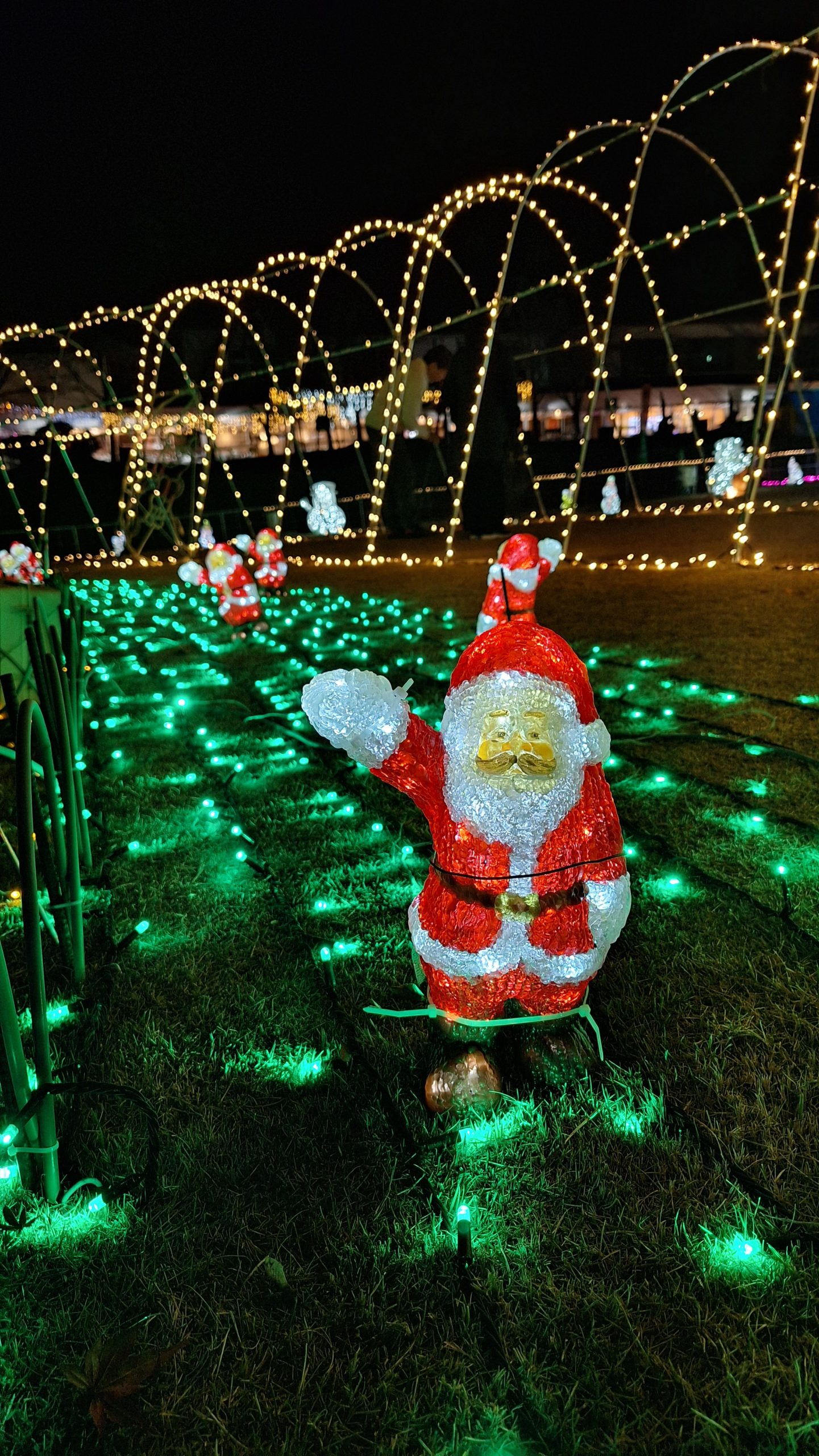 イルミネーション