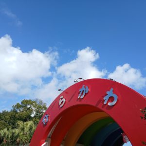 何年かぶりに！🐘