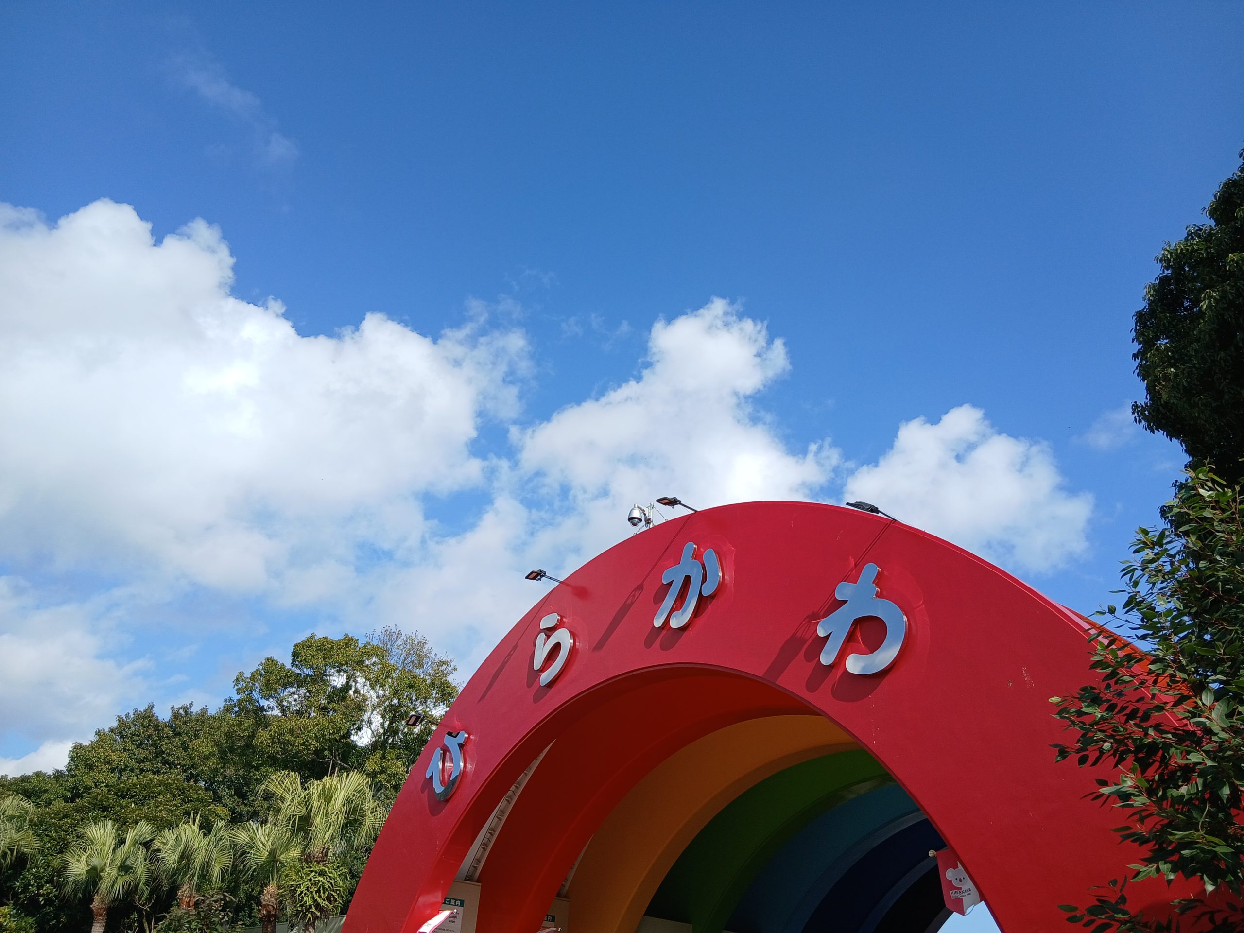 何年かぶりに！🐘