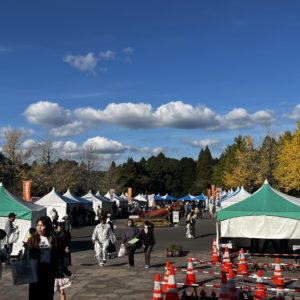 秋の日のお出かけ♪