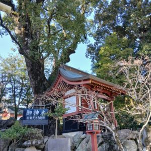 ⛩️厄払い⛩️