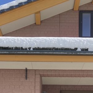 ❄️わがままボディー福田、正月早々“雪国ガチ勢”に放り込まれるの巻🎍