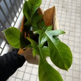 名前が覚えられない