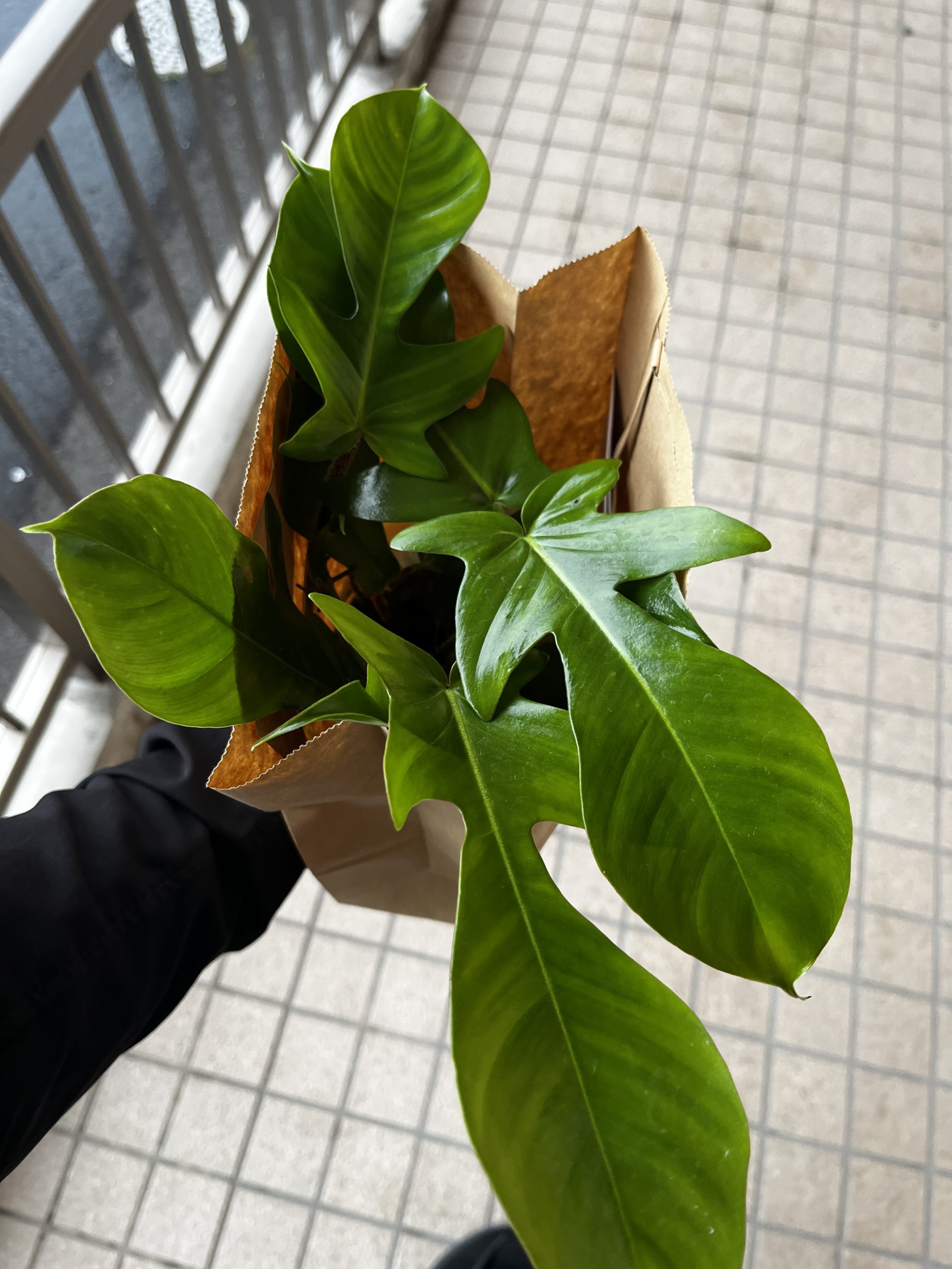 名前が覚えられない