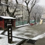 雪サイコーーーーーーー😆