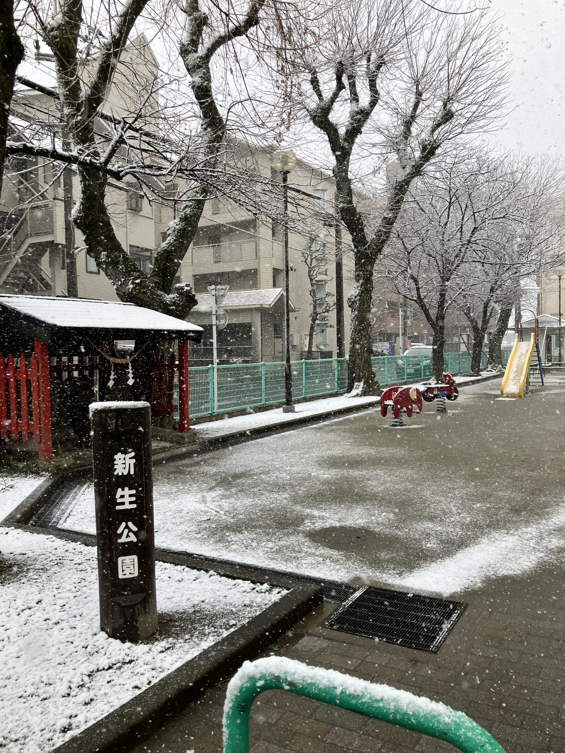 雪サイコーーーーーーー😆