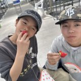 🍓恒例行事 3.14 🍓