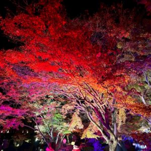 冬⛄️が、、、！！