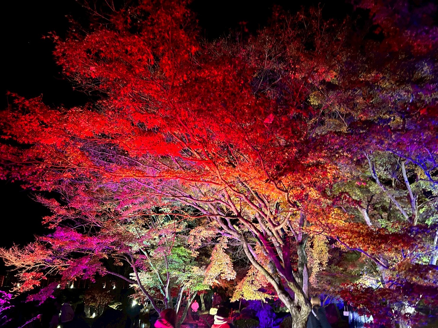 冬⛄️が、、、！！