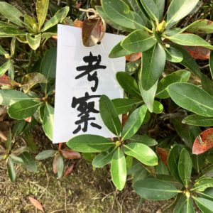 徹底考察！彼はなぜアンパンマンの絆創膏を貼るのか？