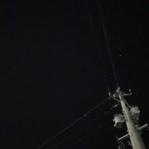 春の陽気、春の輪郭、エンパワメントの輪郭