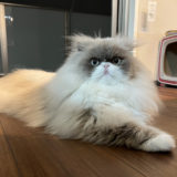 初めまして！伊東です