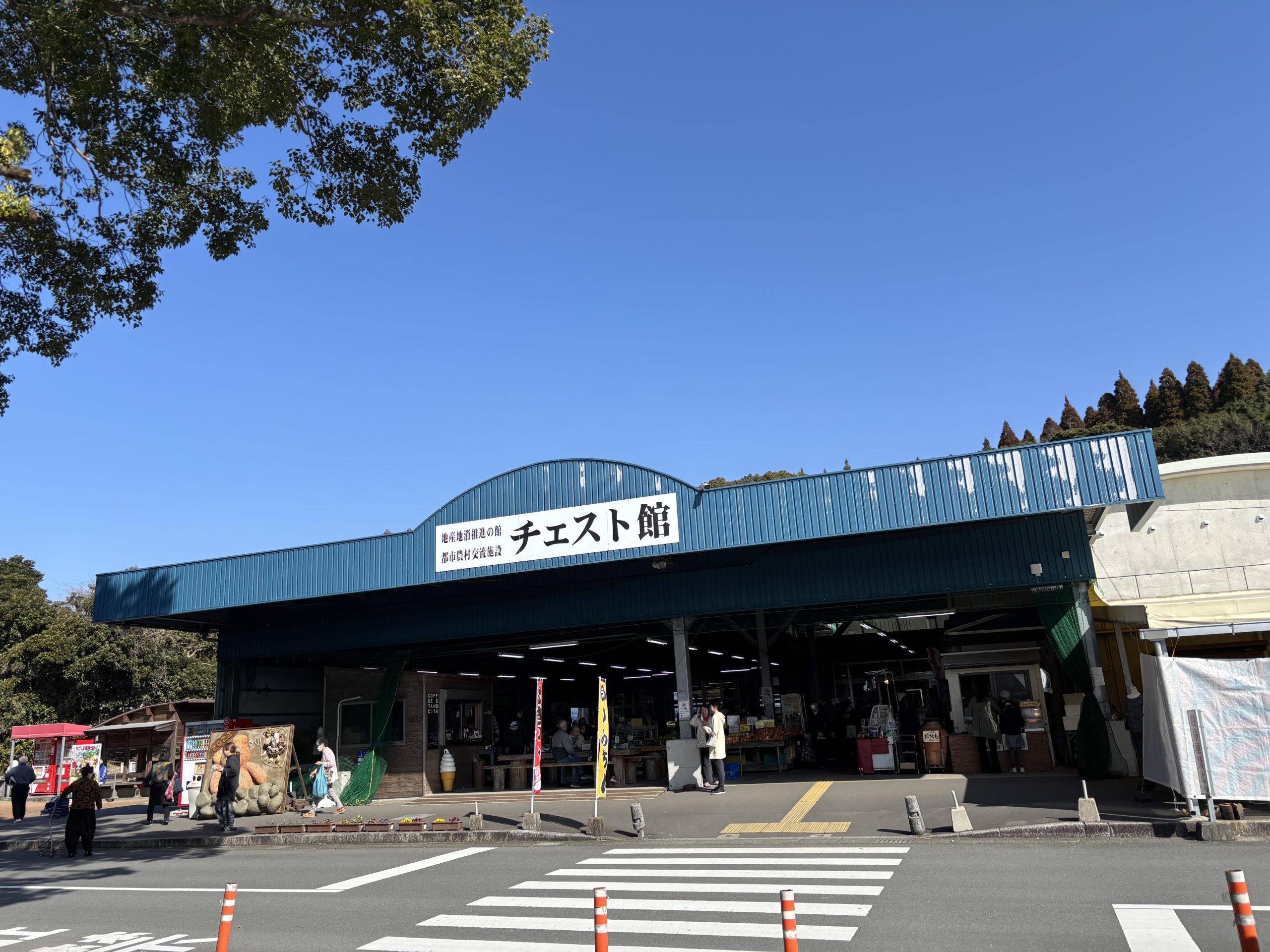 ブログの影響を受けてます。