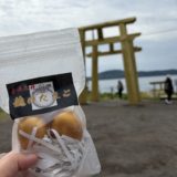 黄金の鳥居？！