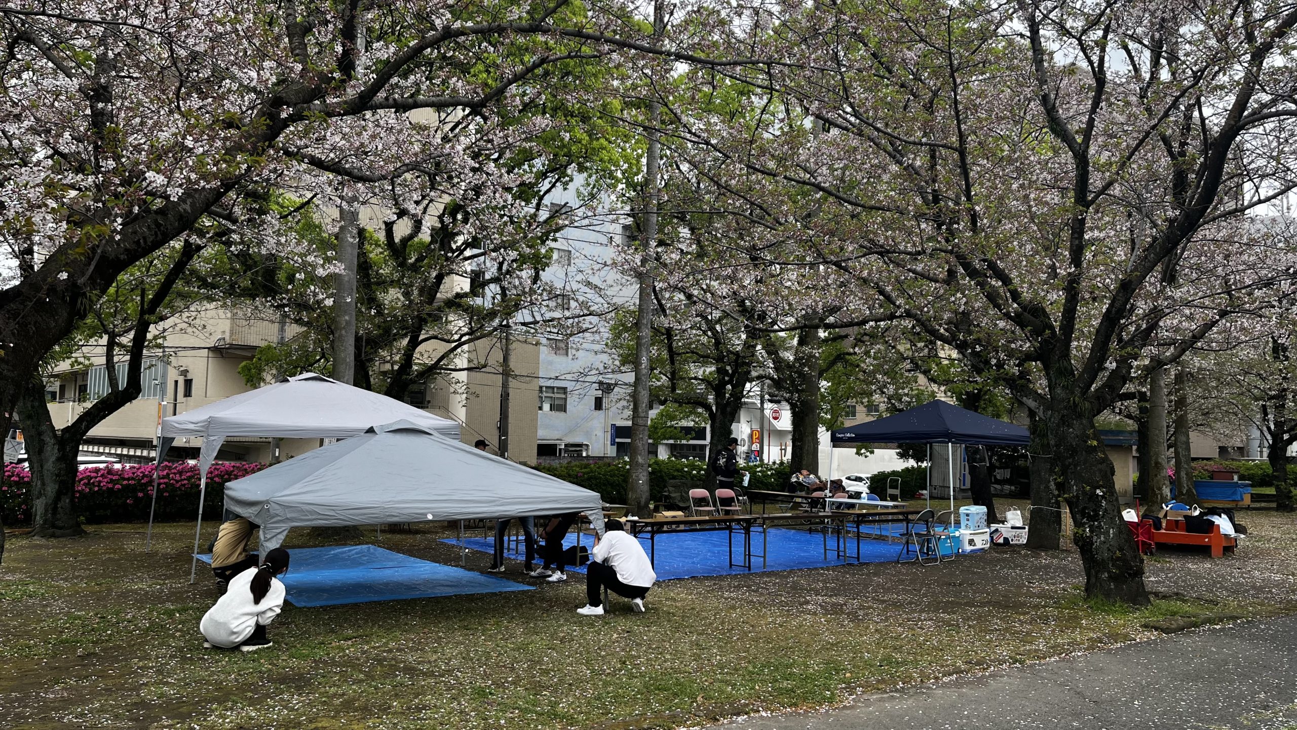 CILひかり花見BBQ🌸🍖